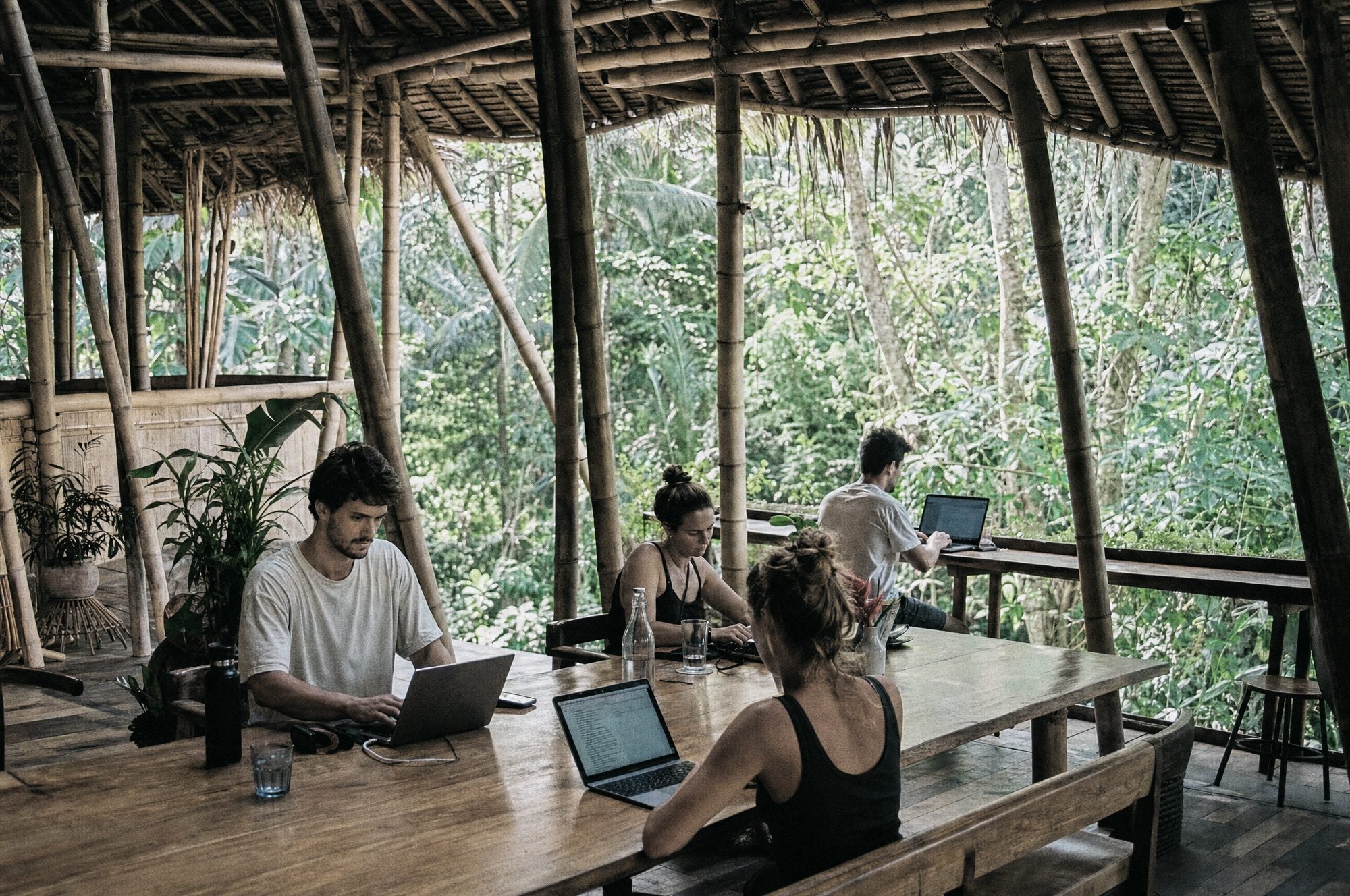 People working quietly on laptops in an open bamboo coworking space, jungle all around
